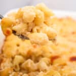 A spoonful of baked macaroni and cheese.