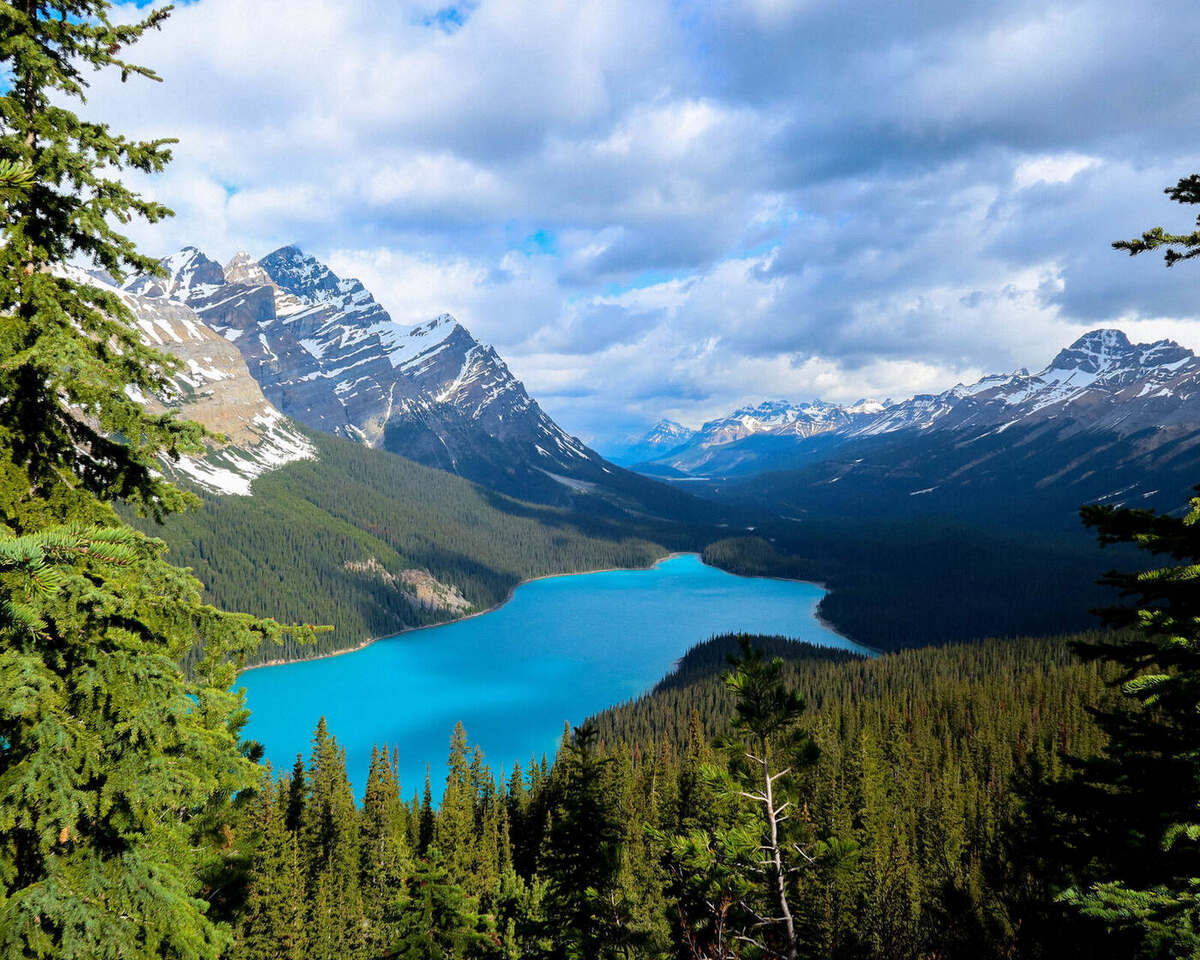 Turquoise Peyto Lake surrounded by mountains in Banff National Park